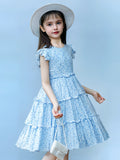 Zvzio Girls Floral Print Ruffle Trim Casual Dress | Flutter Sleeves Three-Tier Hem Lightweight Breathable A-Line Dress - Ages 2-7, Light Blue / Pink